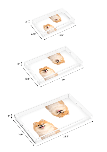 Pomeranian Dog Acrylic Rectangle Tray, all three sizes, by Nicolette Mayer
