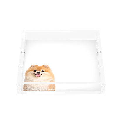 Pomeranian Dog Acrylic Decorative Tray, front, by Nicolette Mayer