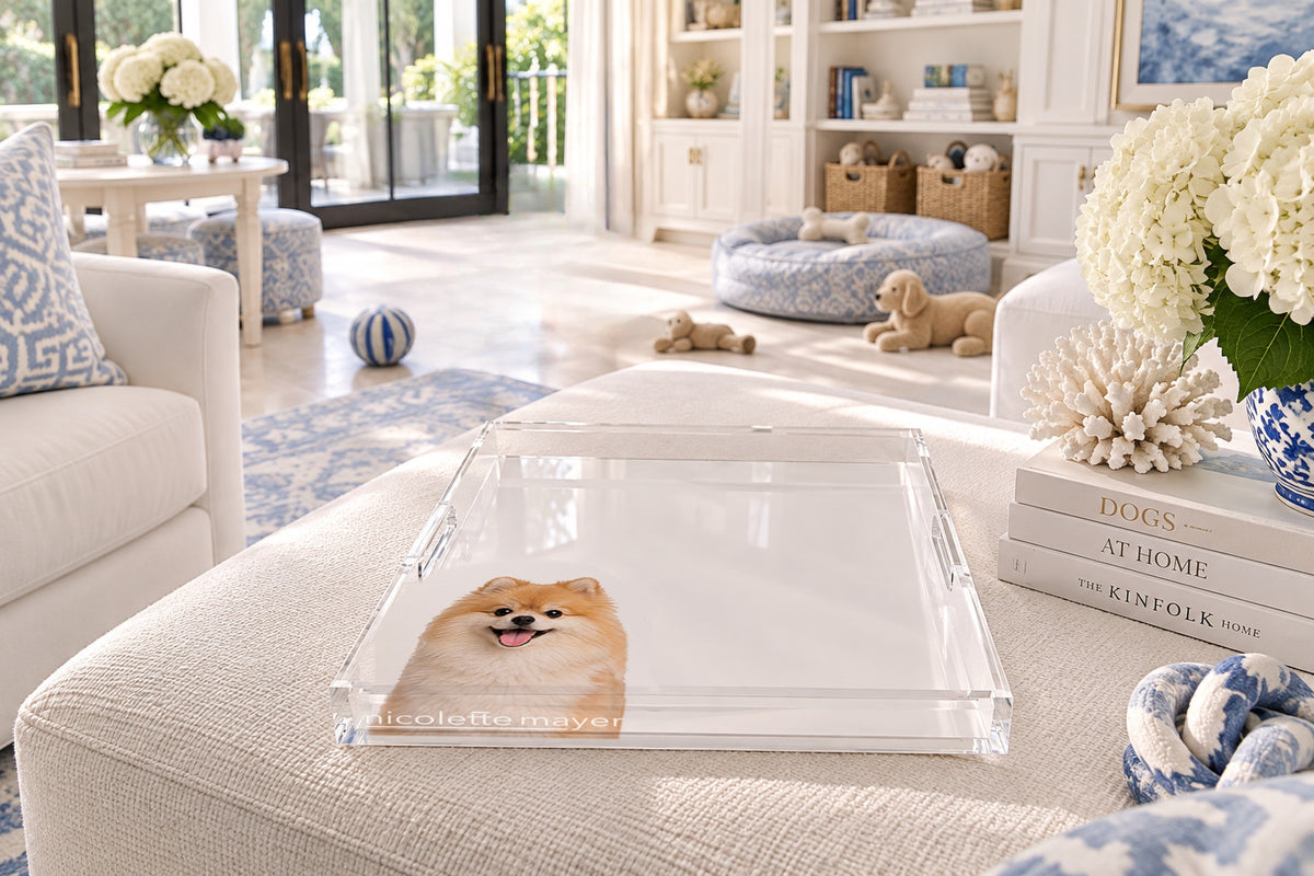 Pomeranian Dog Acrylic Decorative Tray, on an ottoman, by Nicolette Mayer