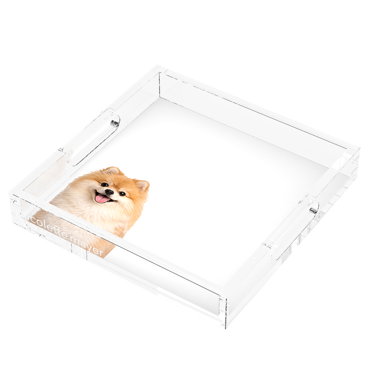 Pomeranian Dog Acrylic Decorative Tray, right three-quarter, by Nicolette Mayer