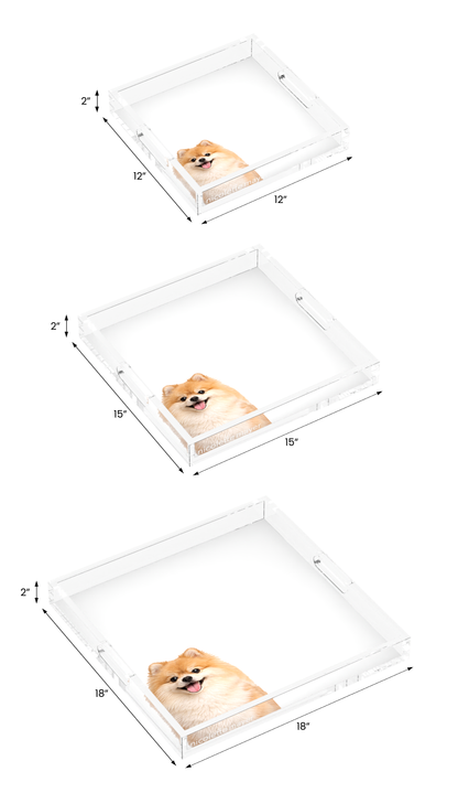 Pomeranian Dog Acrylic Decorative Tray, all three sizes, by Nicolette Mayer