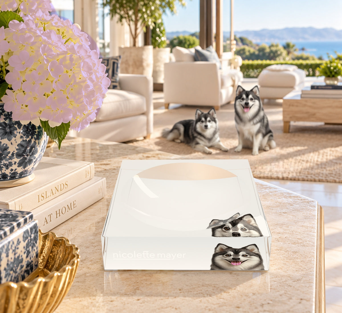 Pomsky Dog Acrylic Candy Catchall Dish, on a coffee table, by Nicolette Mayer