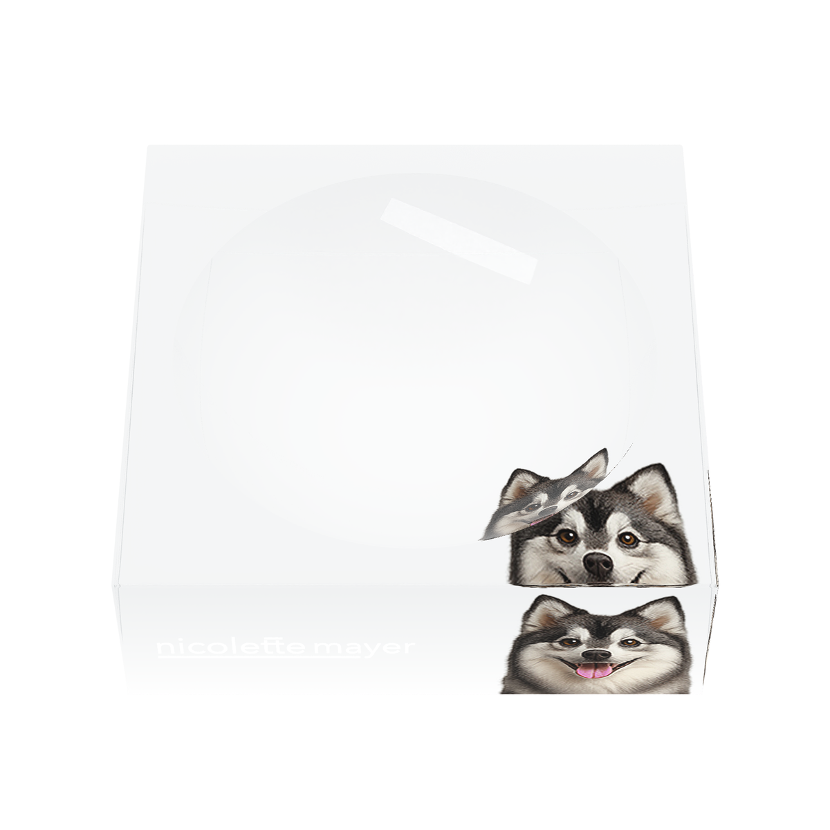Pomsky Dog Acrylic Candy Catchall Dish, front, by Nicolette Mayer