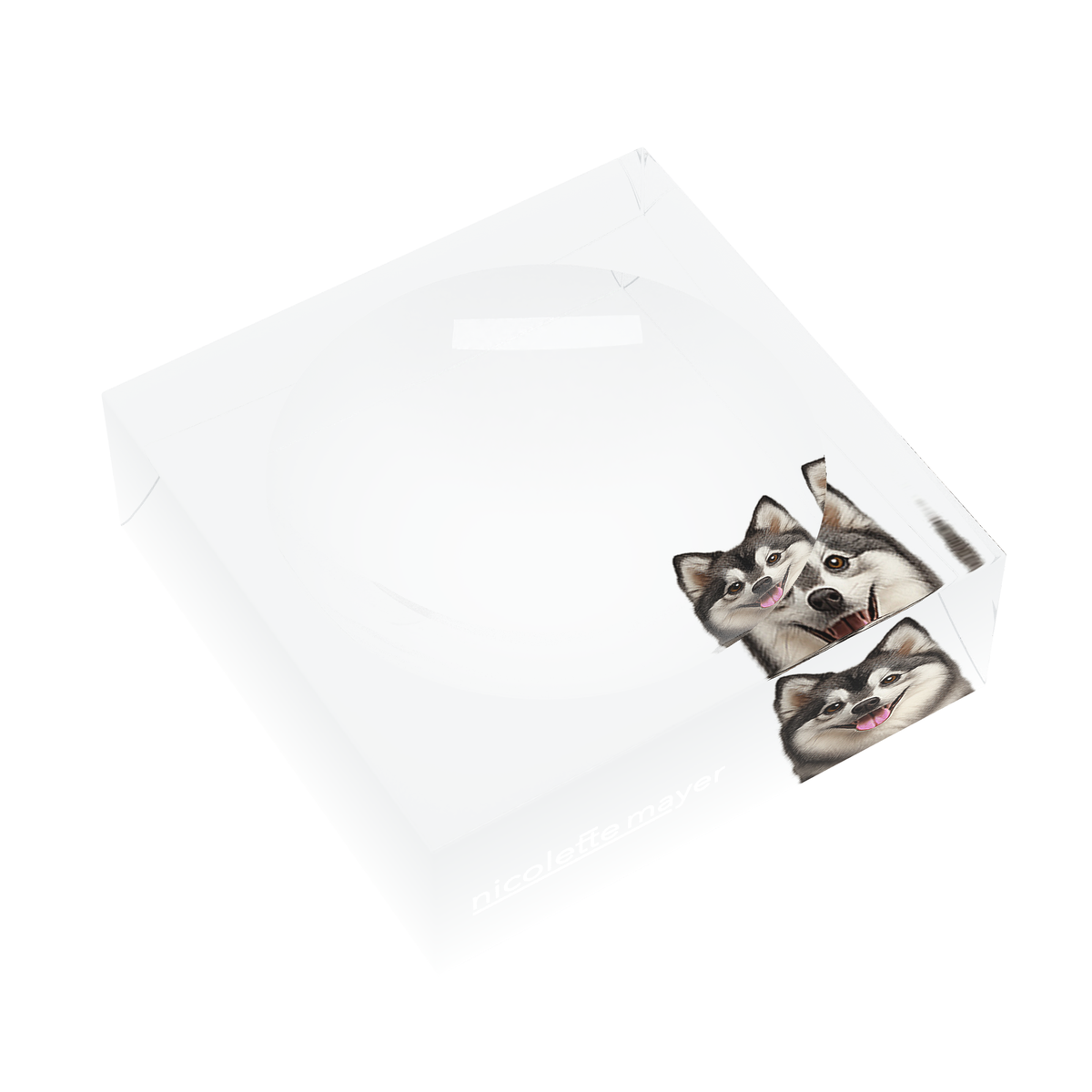 Pomsky Dog Acrylic Candy Catchall Dish, left three-quarter, by Nicolette Mayer