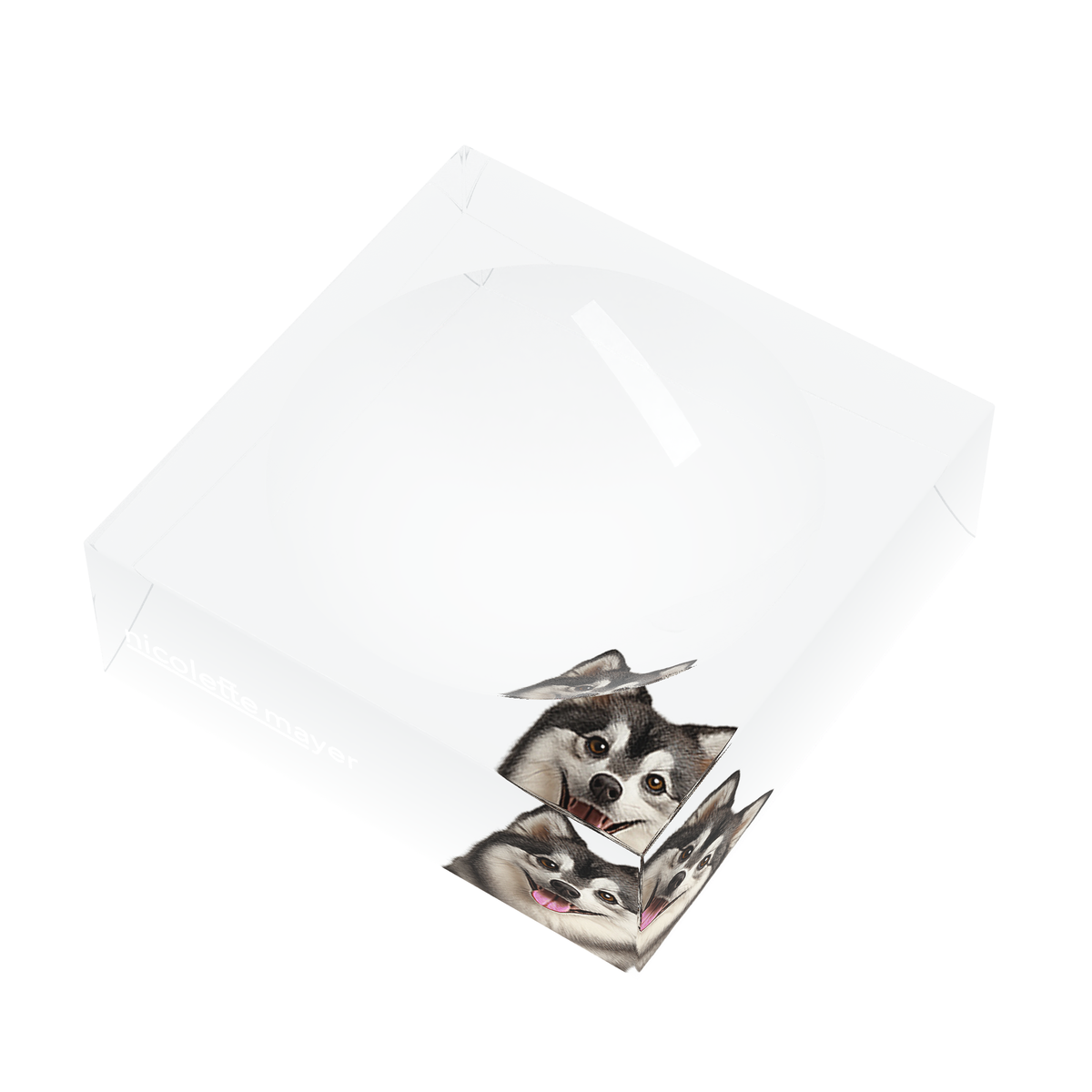 Pomsky Dog Acrylic Candy Catchall Dish, right three-quarter, by Nicolette Mayer
