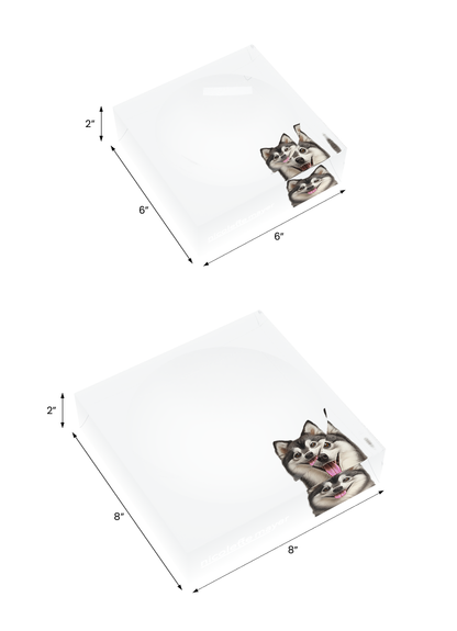 Pomsky Dog Acrylic Candy Catchall Dish, both sizes, by Nicolette Mayer