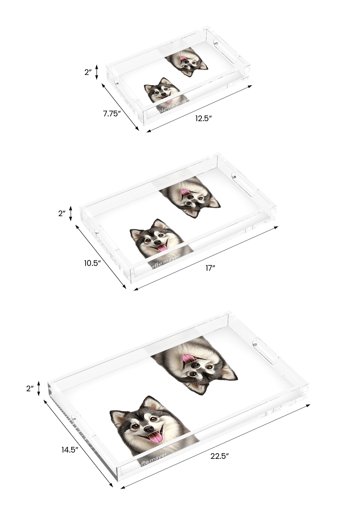 Pomsky Dog Acrylic Rectangle Tray, all three sizes, by Nicolette Mayer