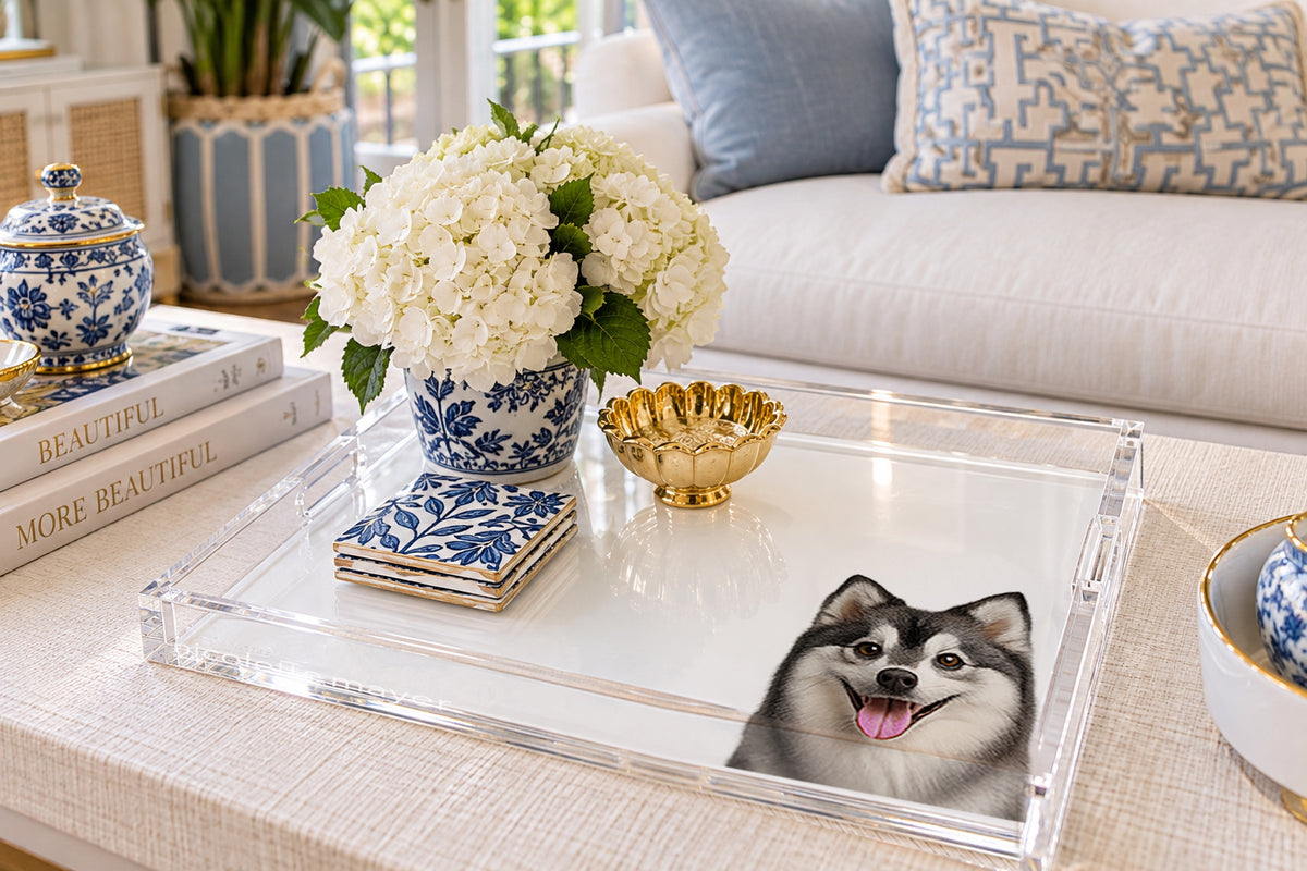 Pomsky Dog Acrylic Decorative Tray, on a coffee table, by Nicolette Mayer
