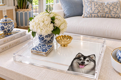 Pomsky Dog Acrylic Decorative Tray, on a coffee table, by Nicolette Mayer