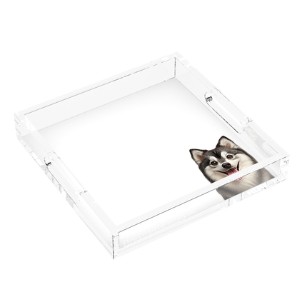 Pomsky Dog Acrylic Decorative Tray, left three-quarter, by Nicolette Mayer