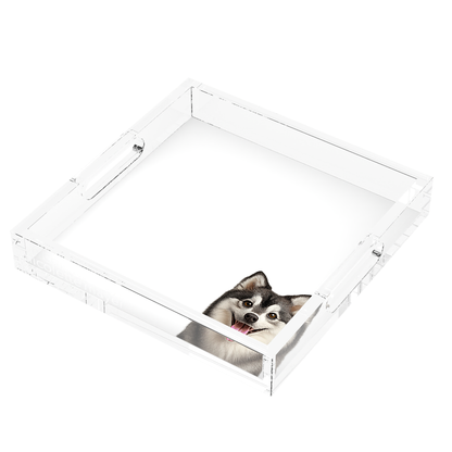 Pomsky Dog Acrylic Decorative Tray, right three-quarter, by Nicolette Mayer