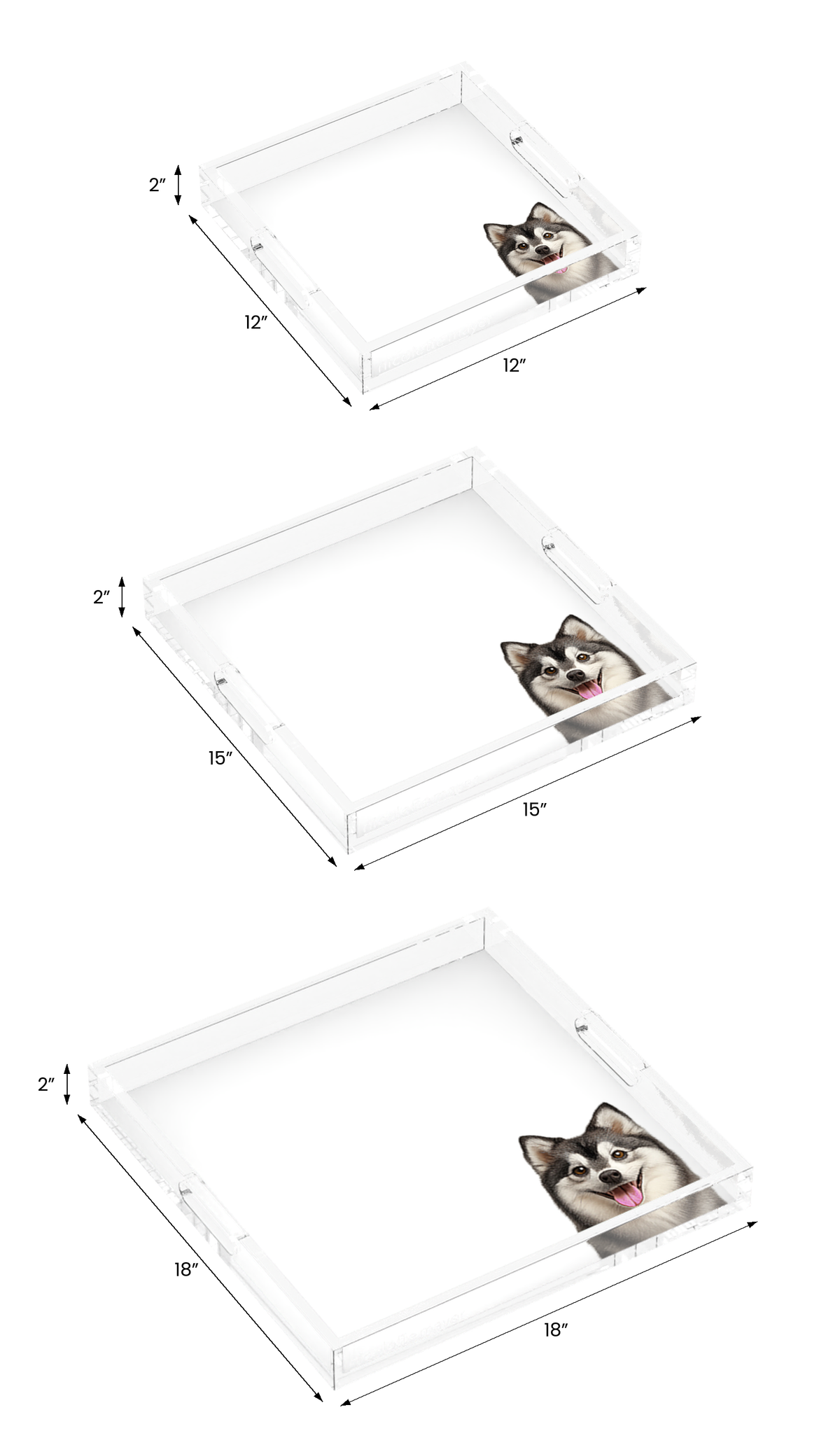 Pomsky Dog Acrylic Decorative Tray, all three sizes, by Nicolette Mayer