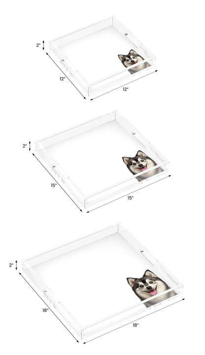Pomsky Dog Acrylic Decorative Tray, all three sizes, by Nicolette Mayer