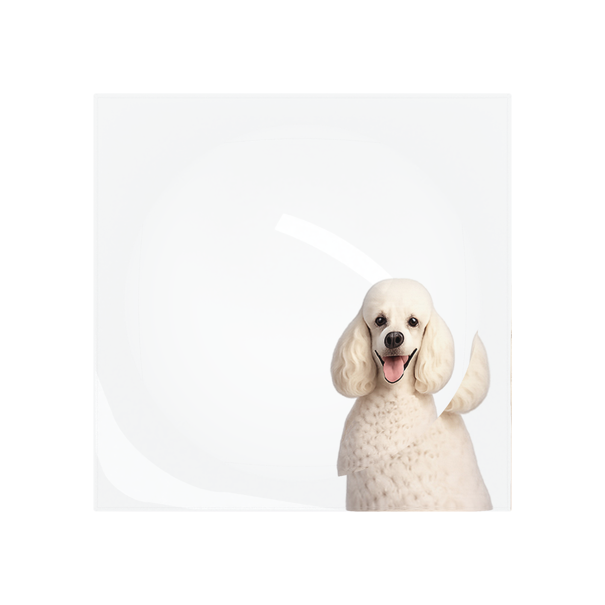 Poodle Dog Acrylic Candy Catchall Dish, overhead, by Nicolette Mayer