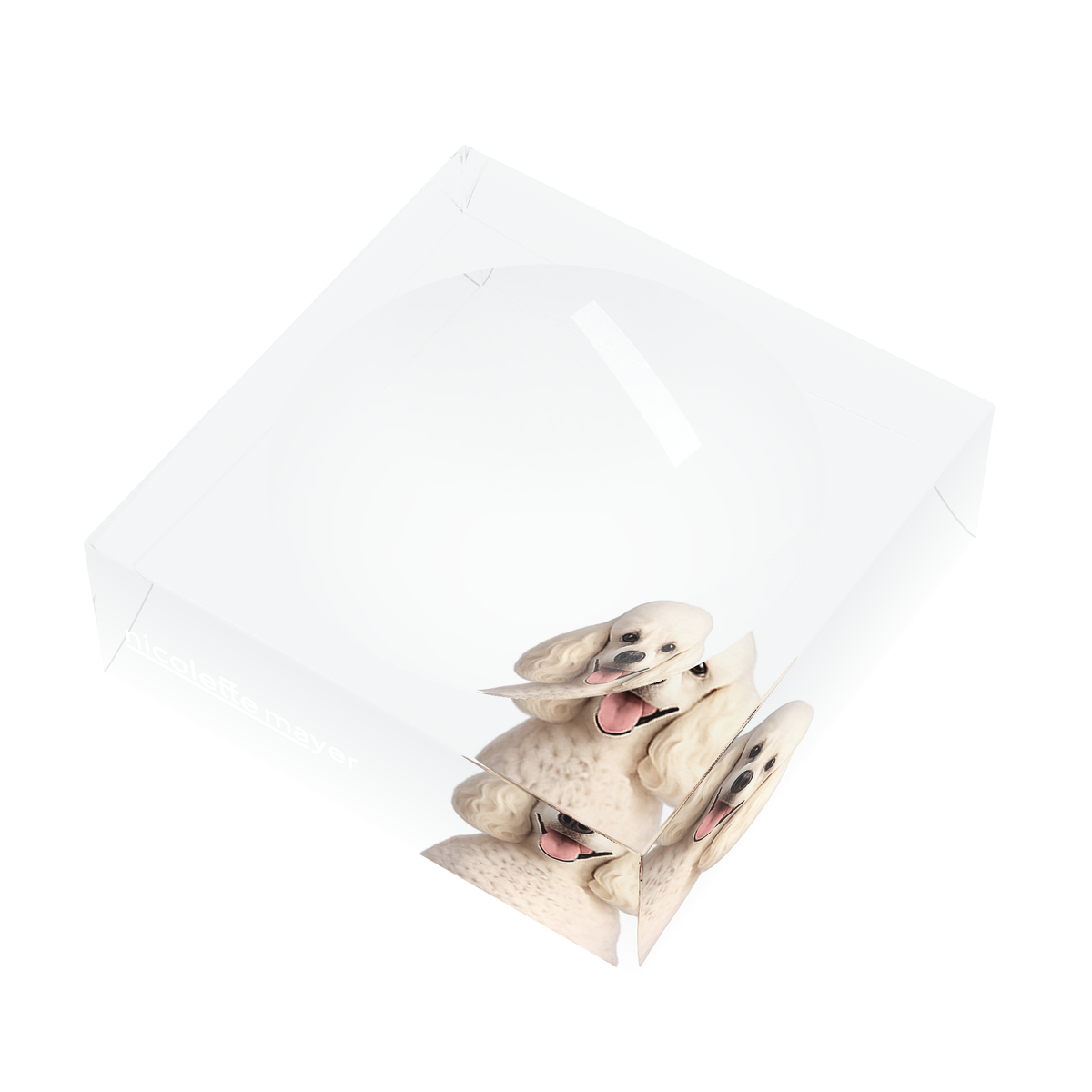Poodle Dog Acrylic Candy Catchall Dish, right three-quarter, by Nicolette Mayer