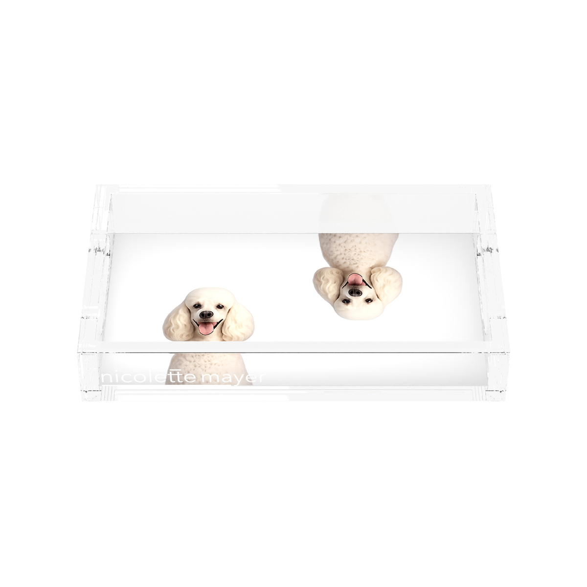 Poodle Dog Acrylic Rectangle Tray, front, by Nicolette Mayer