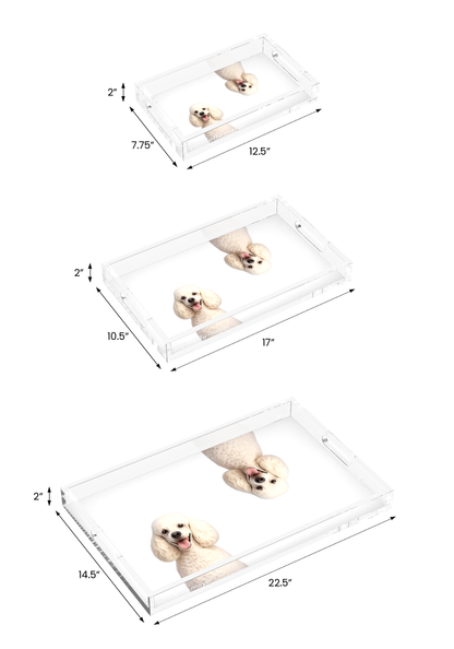 Poodle Dog Acrylic Rectangle Tray, all three sizes, by Nicolette Mayer
