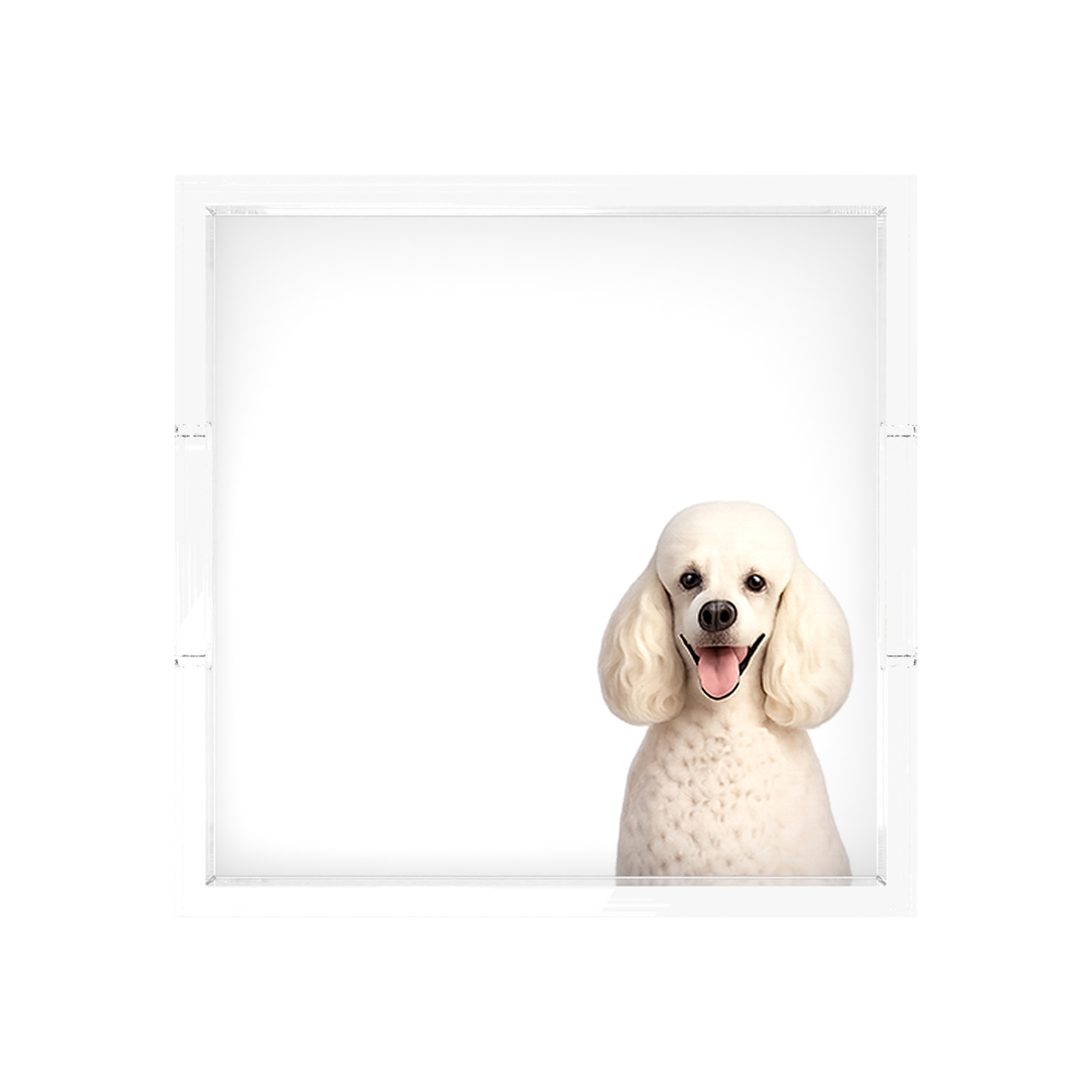Poodle Dog Acrylic Decorative Tray, 12 x 12 in., 15 x 15 in., 18 x 18 in. by Nicolette Mayer