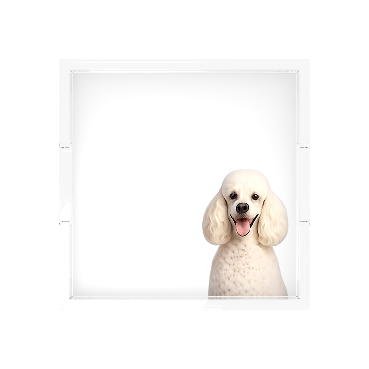 Poodle Dog Acrylic Decorative Tray, overhead, by Nicolette Mayer