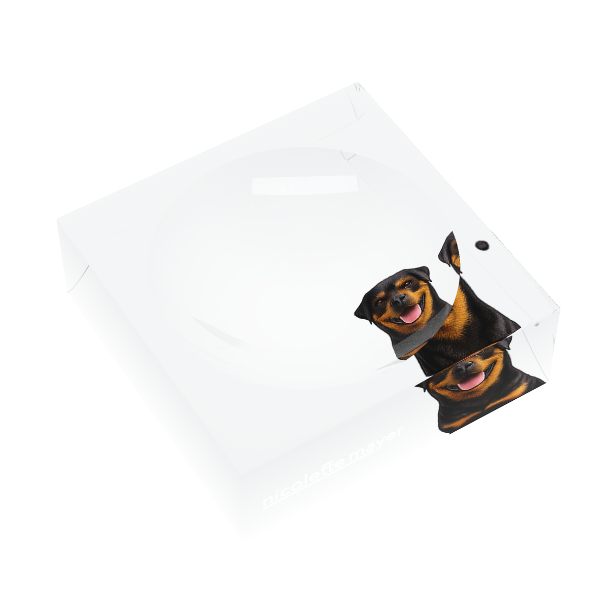 Rottweiler Dog Acrylic Candy Catchall Dish, left three-quarter, by Nicolette Mayer