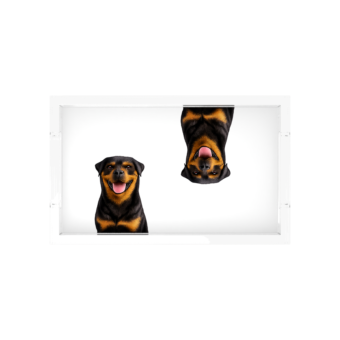 Rottweiler Dog Acrylic Rectangle Tray, overhead, by Nicolette Mayer