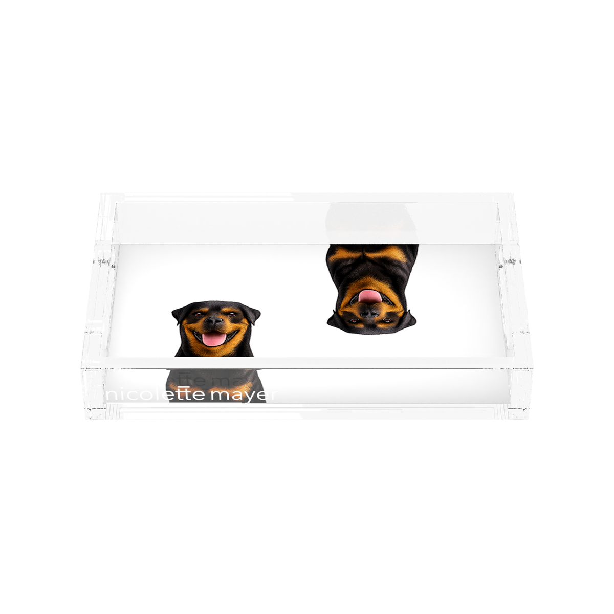 Rottweiler Dog Acrylic Rectangle Tray, front, by Nicolette Mayer