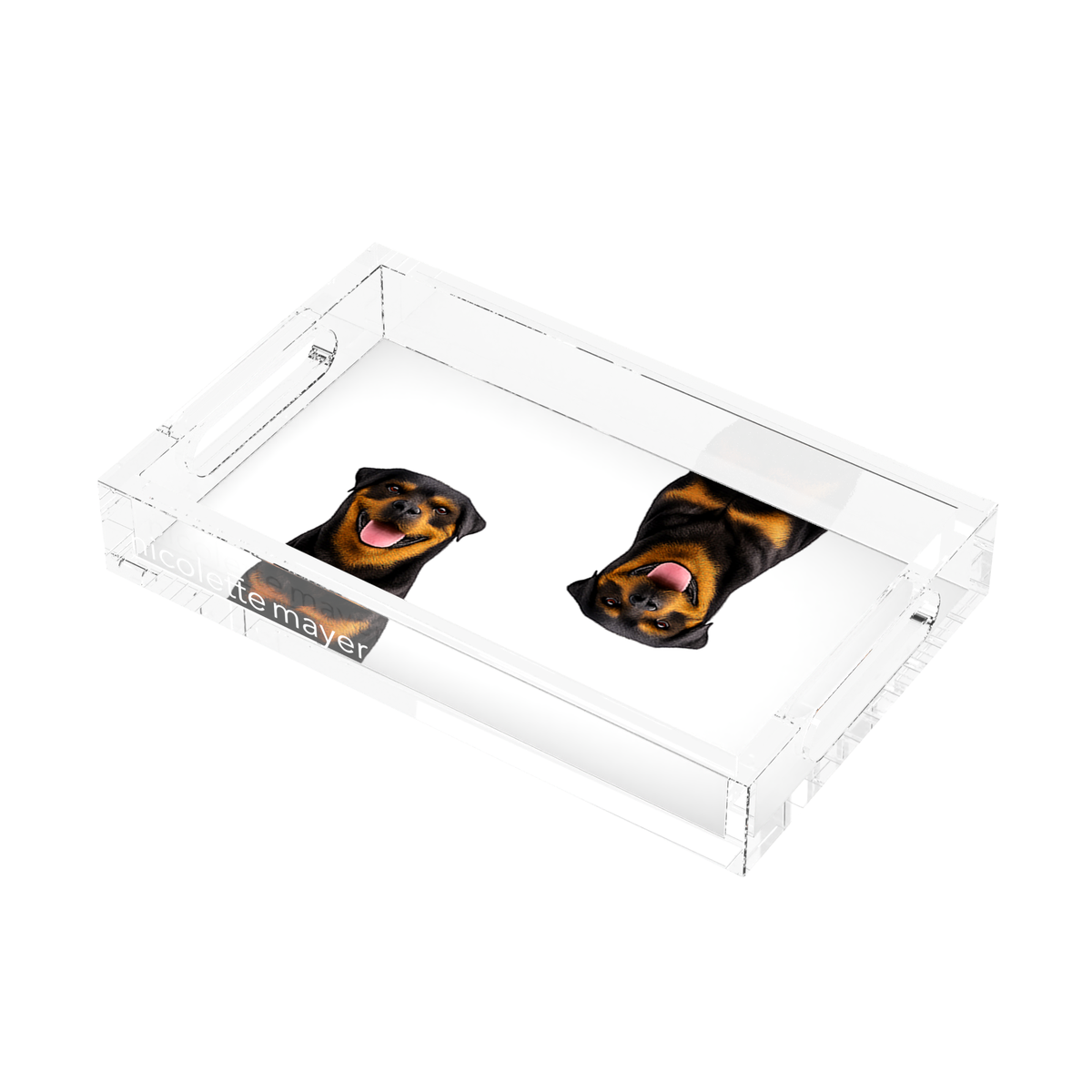 Rottweiler Dog Acrylic Rectangle Tray, right three-quarter, by Nicolette Mayer