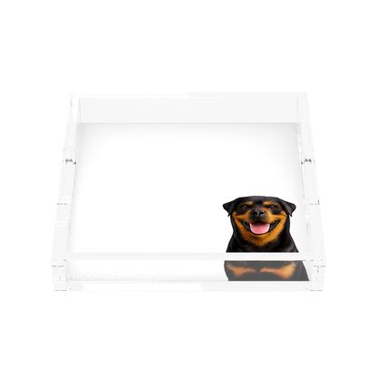 Rottweiler Dog Acrylic Decorative Tray, front, by Nicolette Mayer