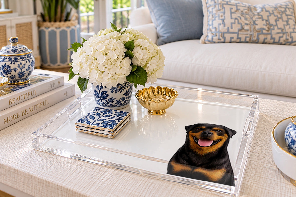 Rottweiler Dog Acrylic Decorative Tray, on a coffee table, by Nicolette Mayer