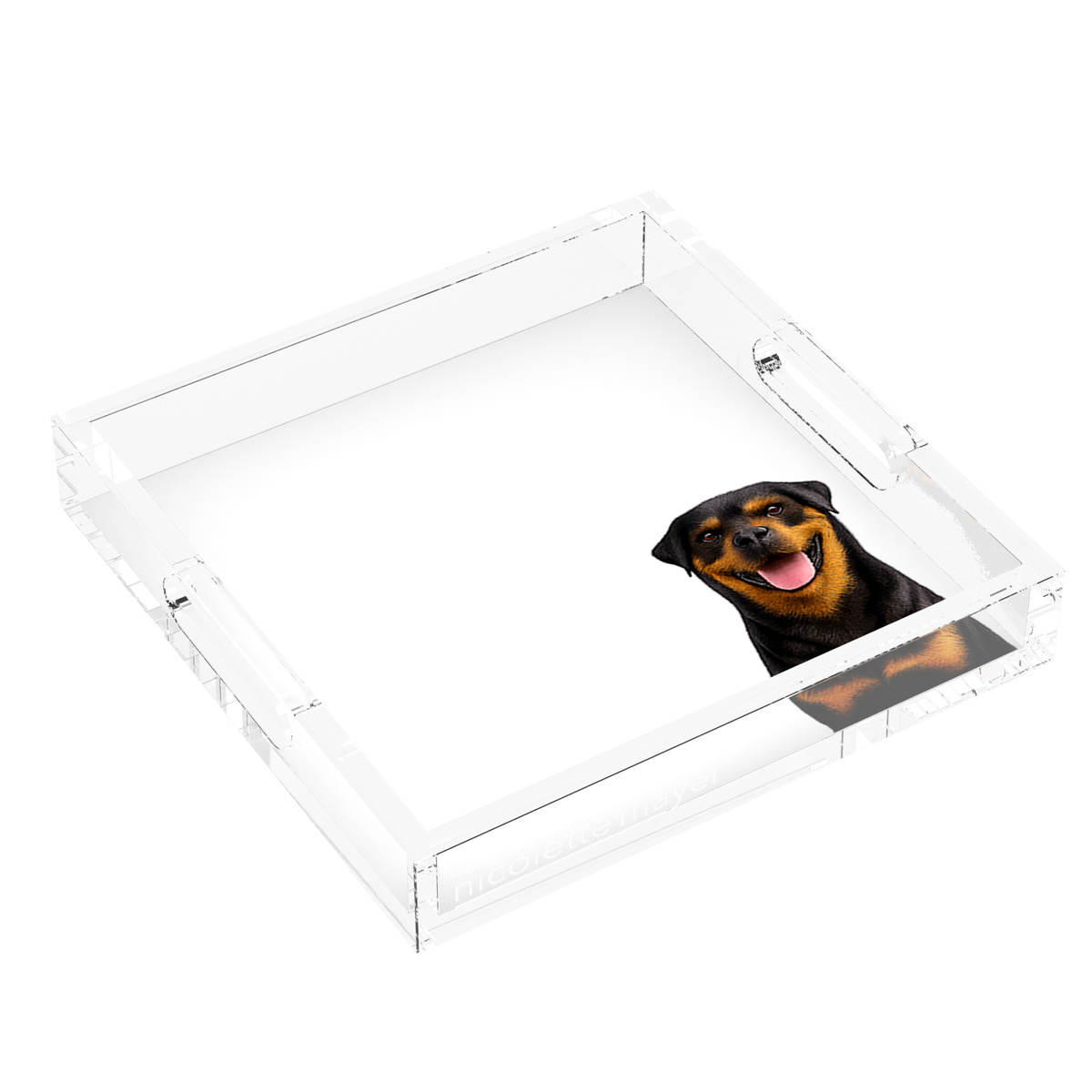 Rottweiler Dog Acrylic Decorative Tray, left three-quarter, by Nicolette Mayer