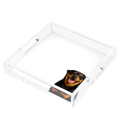Rottweiler Dog Acrylic Decorative Tray, right three-quarter, by Nicolette Mayer