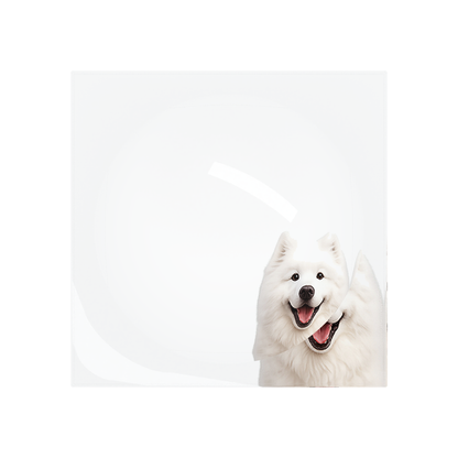 Samoyed Dog Acrylic Candy Catchall Dish, overhead, by Nicolette Mayer