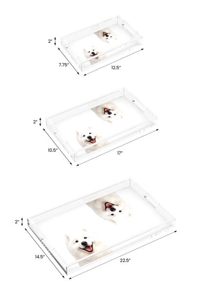 Samoyed Dog Acrylic Rectangle Tray, all three sizes, by Nicolette Mayer