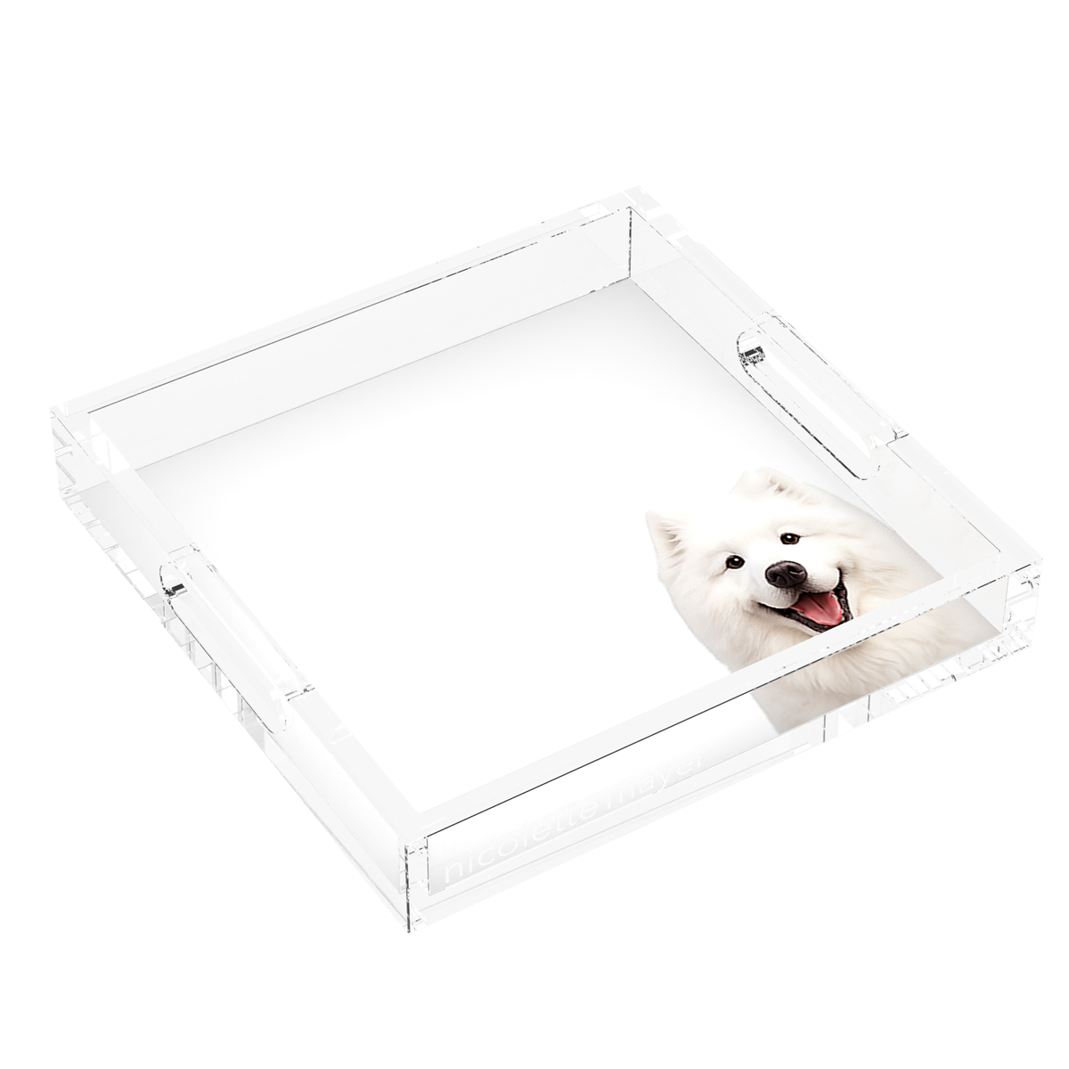 Samoyed Dog Acrylic Decorative Tray, left three-quarter, by Nicolette Mayer