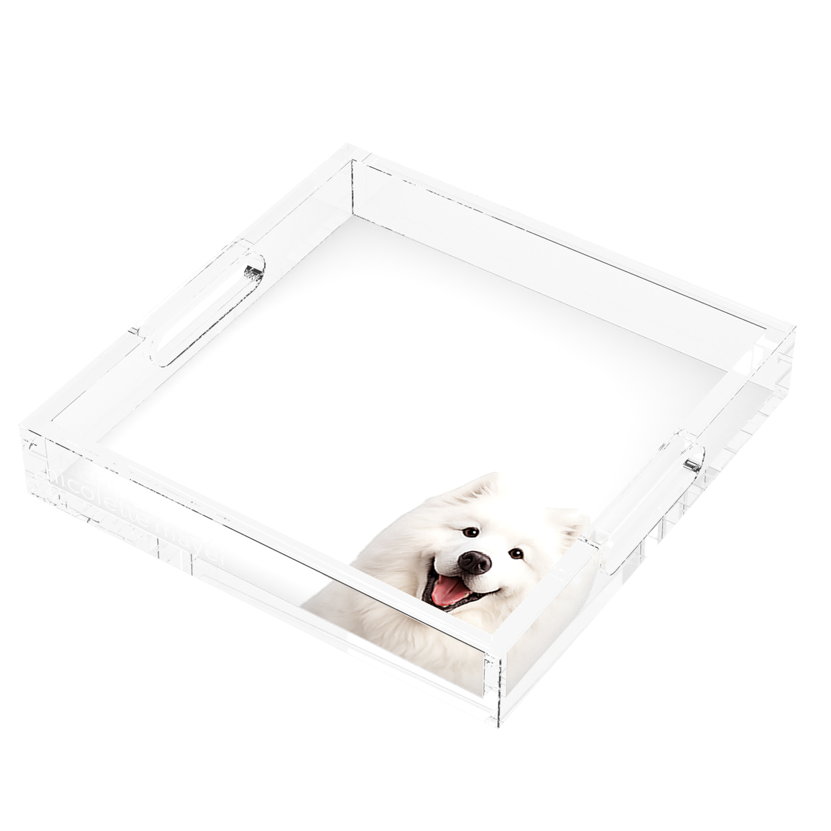 Samoyed Dog Acrylic Decorative Tray, right three-quarter, by Nicolette Mayer