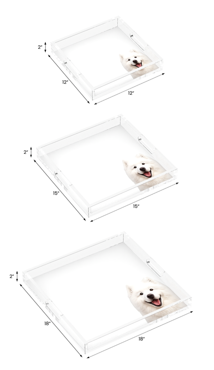 Samoyed Dog Acrylic Decorative Tray, all three sizes, by Nicolette Mayer