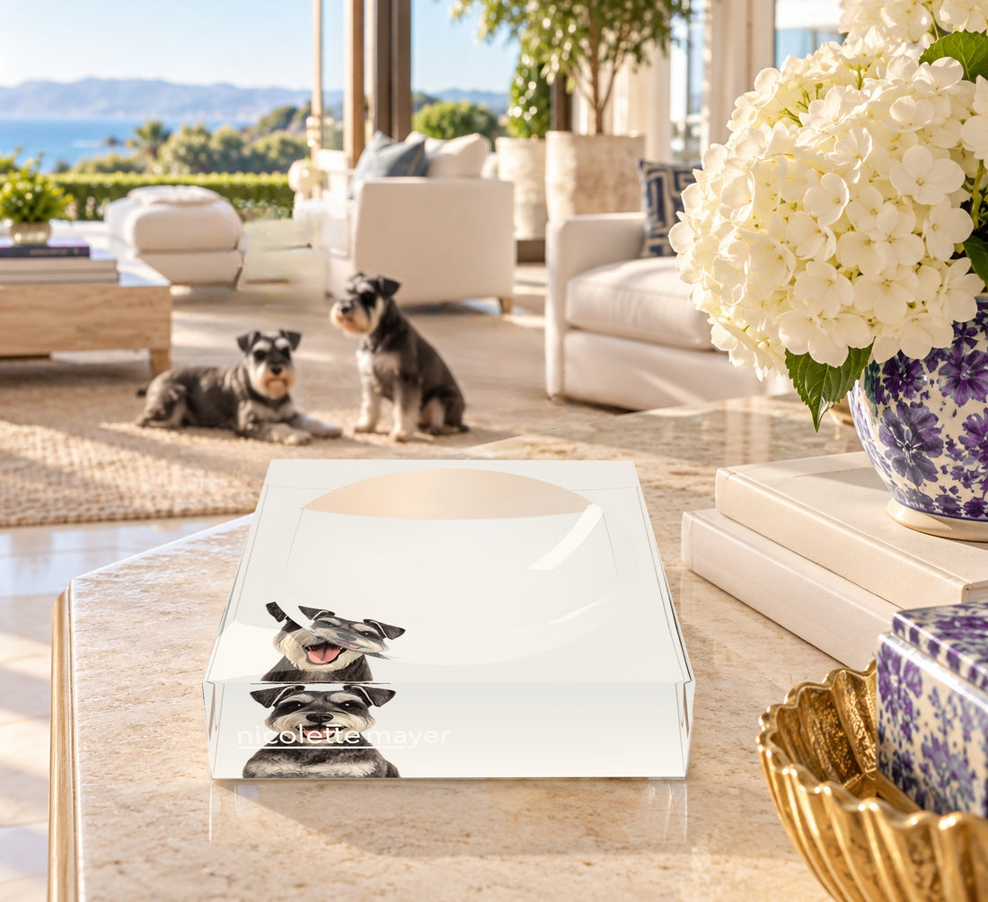 Schnauzer Dog Acrylic Candy Catchall Dish, on a coffee table, by Nicolette Mayer