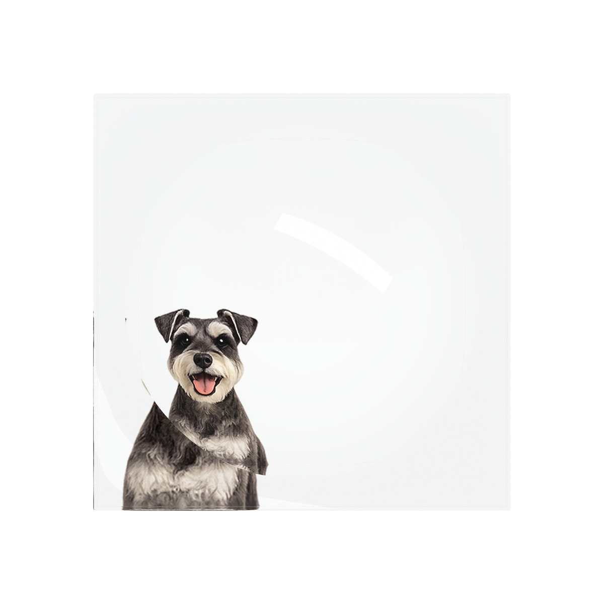 Schnauzer Dog Acrylic Candy Catchall Dish, overhead, by Nicolette Mayer