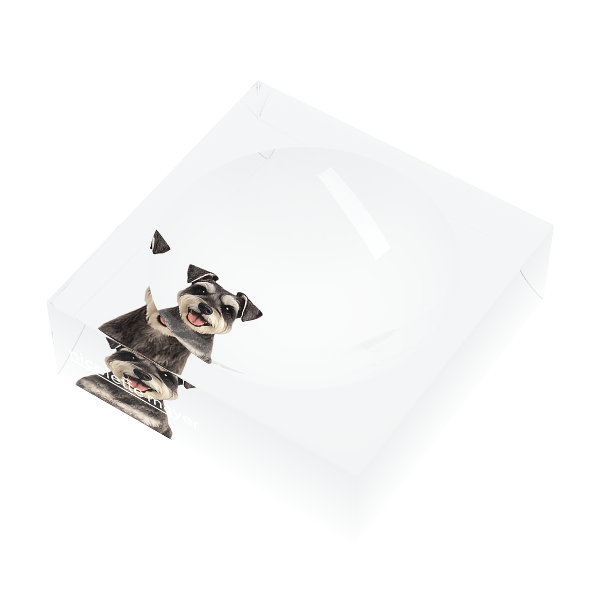 Schnauzer Dog Acrylic Candy Catchall Dish, right three-quarter, by Nicolette Mayer
