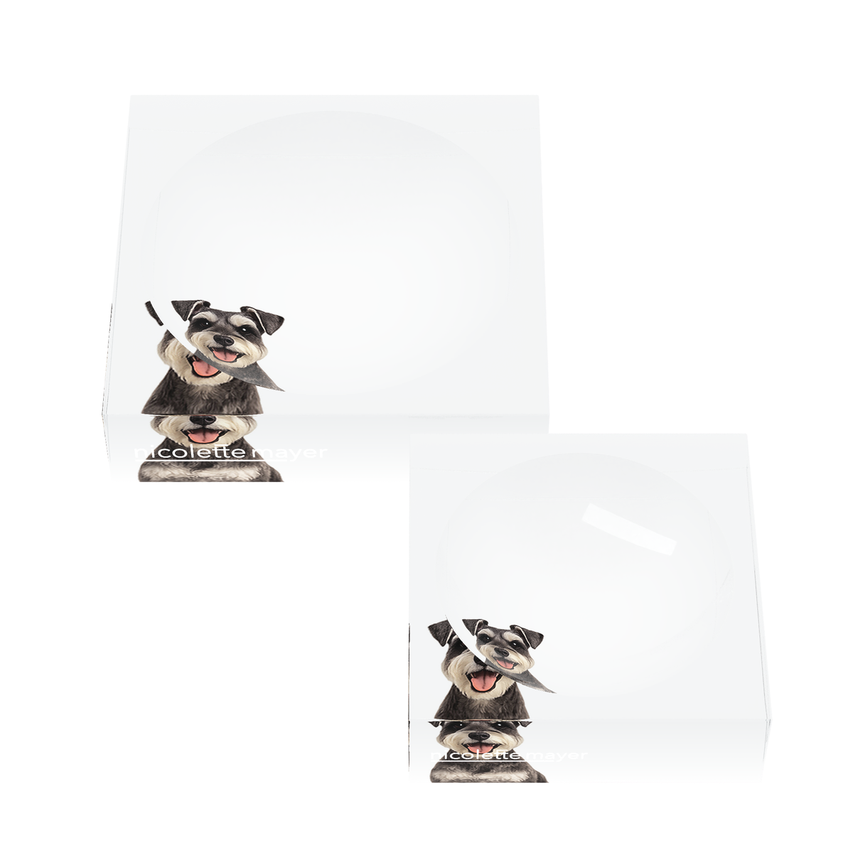 Schnauzer Dog Acrylic Candy Catchall Dish, set of two, by Nicolette Mayer