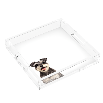 Schnauzer Dog Acrylic Decorative Tray, left three-quarter, by Nicolette Mayer