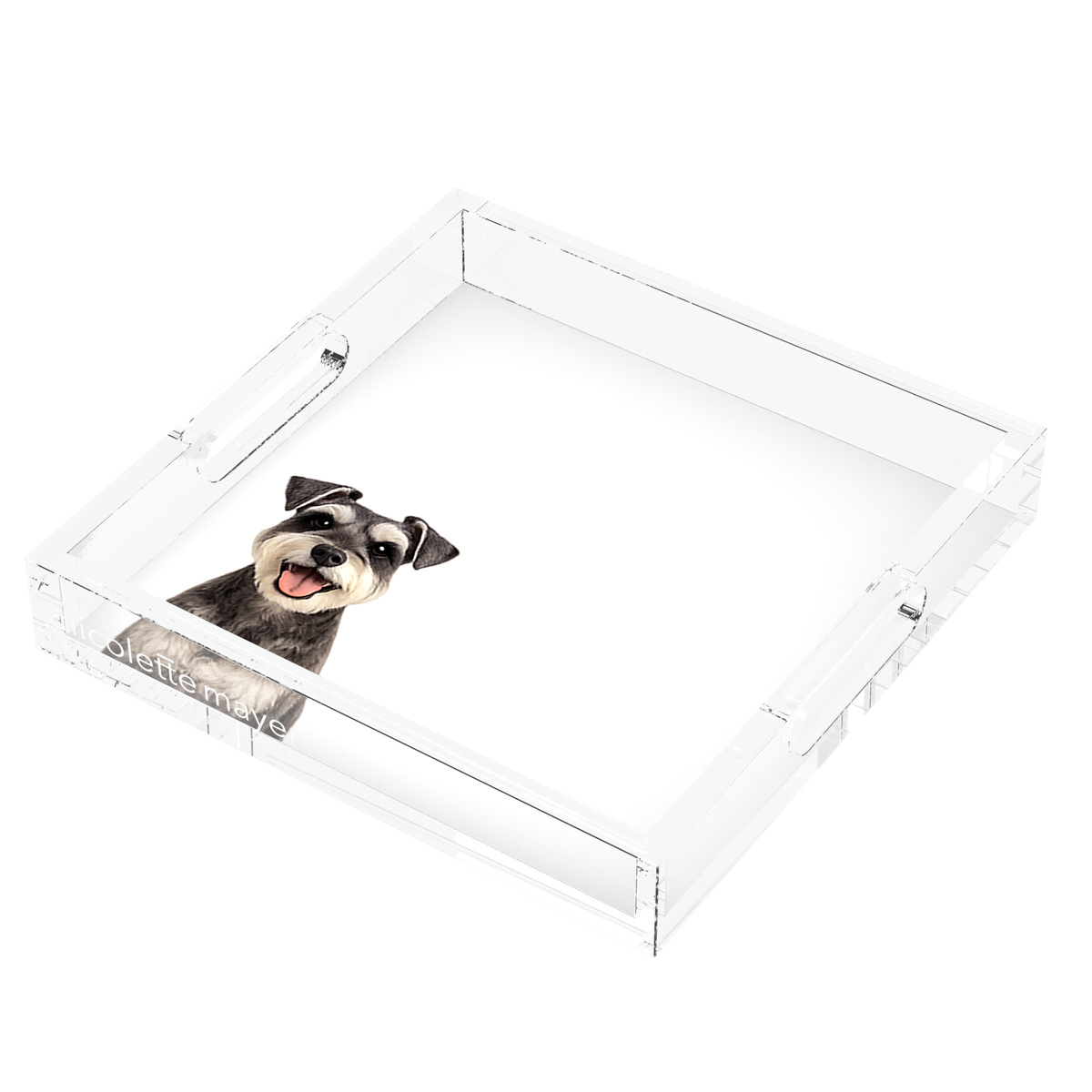 Schnauzer Dog Acrylic Decorative Tray, right three-quarter, by Nicolette Mayer