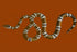 Serpent Burnt Orange Rectangle Placemats Set of 4 - nicolettemayer.com