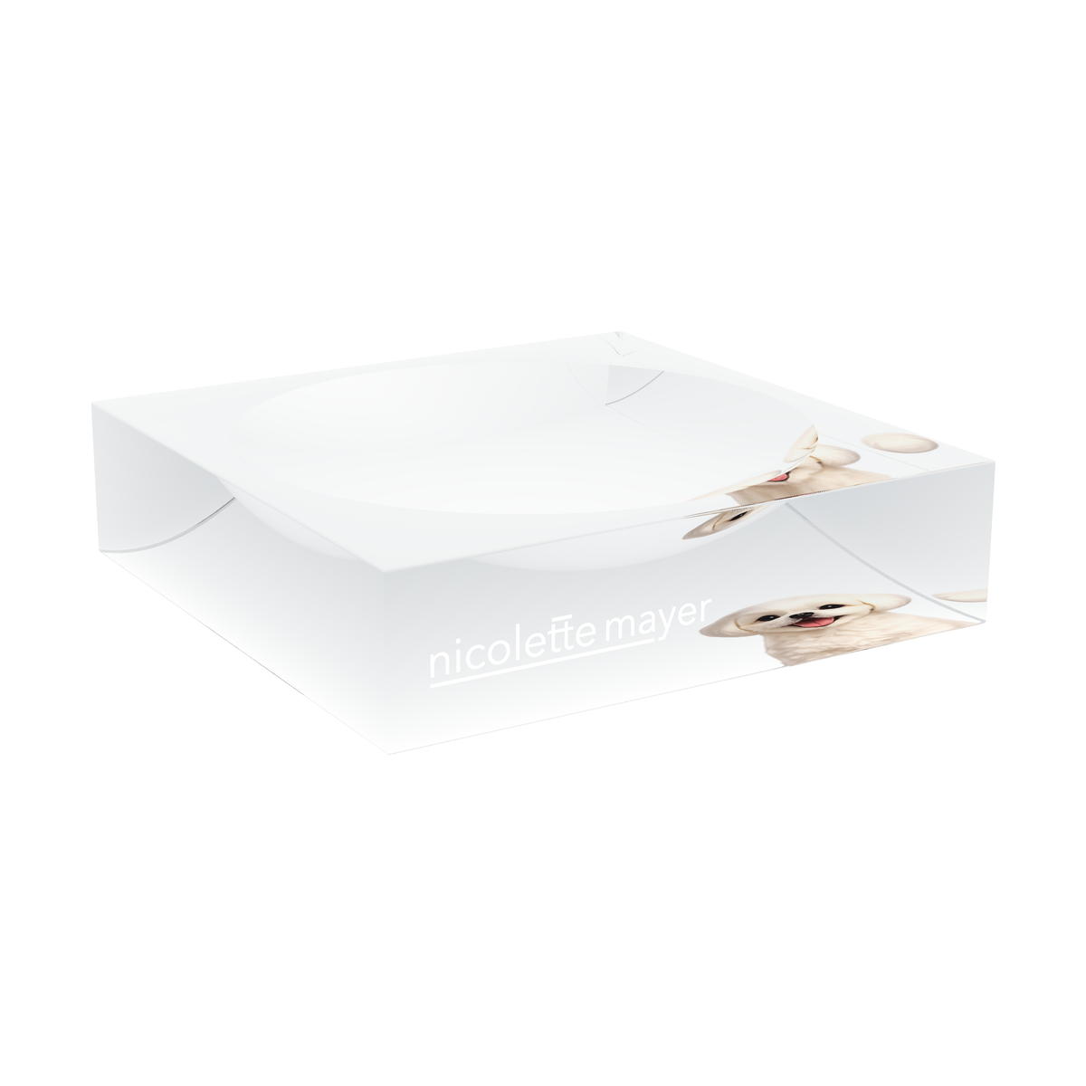 Shih Tzu Dog Acrylic Candy Catchall Dish, large dish at an angle, by Nicolette Mayer