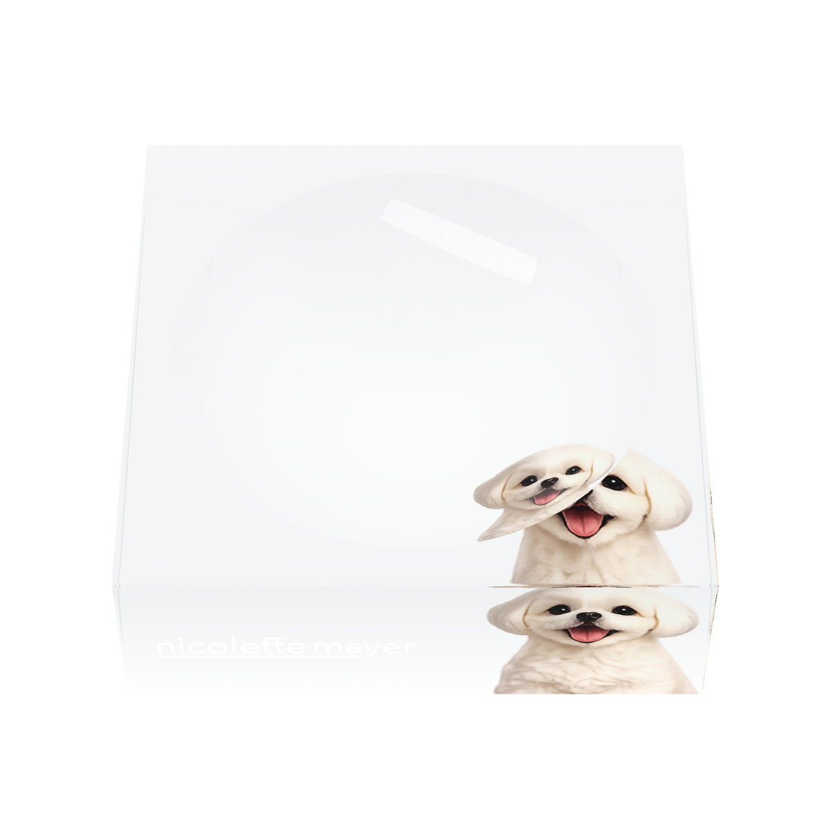 Shih Tzu Dog Acrylic Candy Catchall Dish, front, by Nicolette Mayer