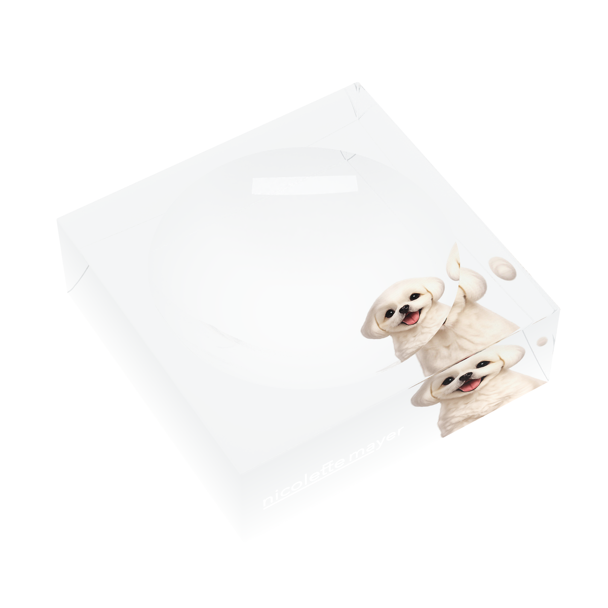 Shih Tzu Dog Acrylic Candy Catchall Dish, left three-quarter, by Nicolette Mayer