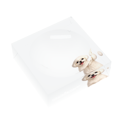 Shih Tzu Dog Acrylic Candy Catchall Dish, left three-quarter, by Nicolette Mayer