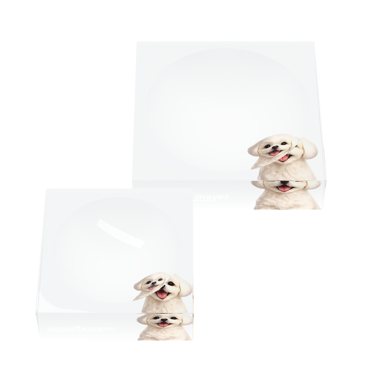 Shih Tzu Dog Acrylic Candy Catchall Dish, set of two, by Nicolette Mayer