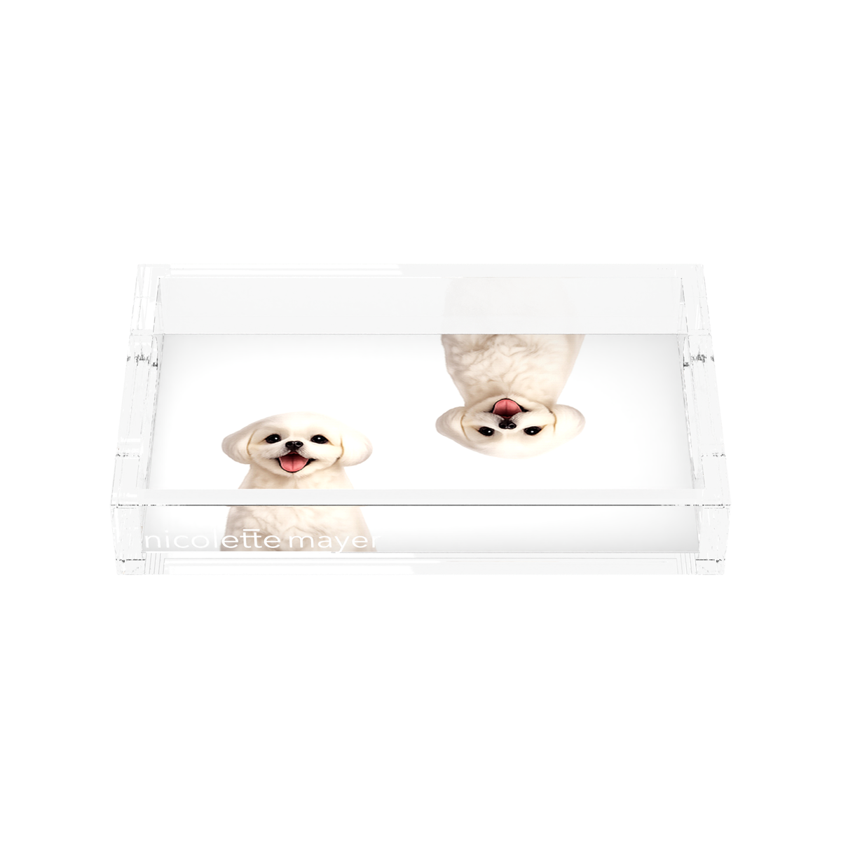 Shih Tzu Dog Acrylic Rectangle Tray, front, by Nicolette Mayer