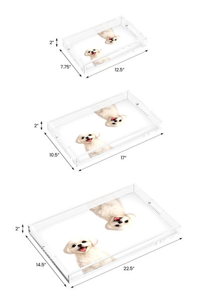Shih Tzu Dog Acrylic Rectangle Tray, all three sizes, by Nicolette Mayer